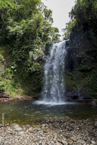 Waterfall in a cloud forest near Boquete, Panama. Accessible by Lost Waterfalls hiking trail