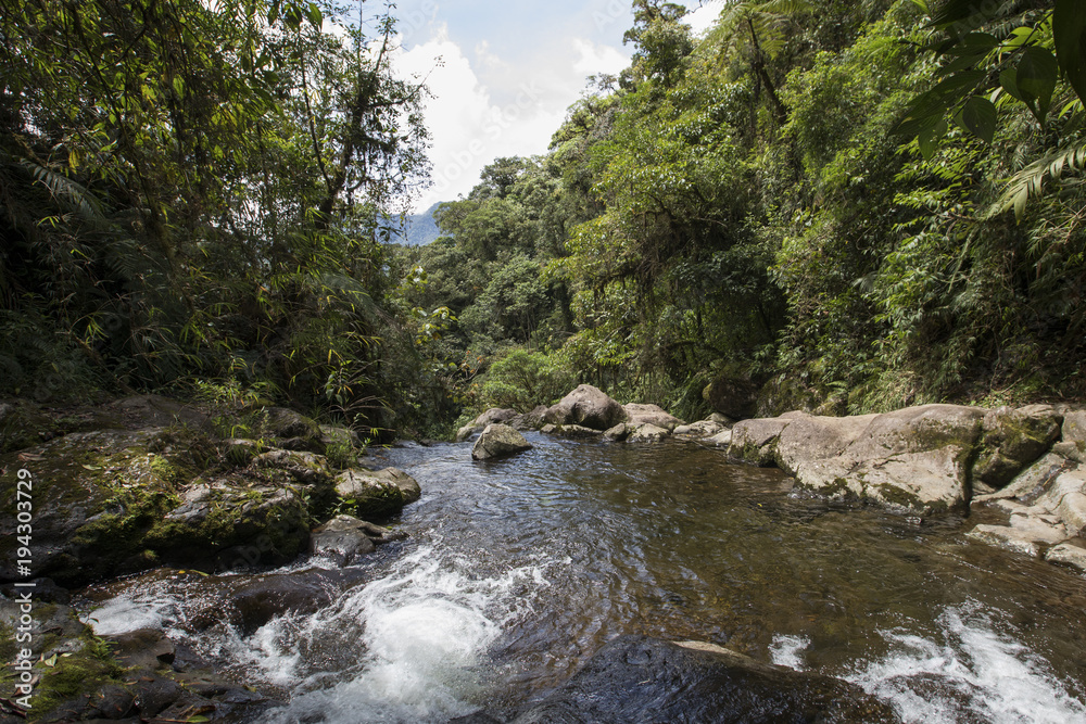 Caldera river through rocks in a rainforest, Boquete ,Chiriqui highlands, Panama, Central America Caldera river through rocks in a rainforest, Boquete ,Chiriqui highlands, Panama, Central America
