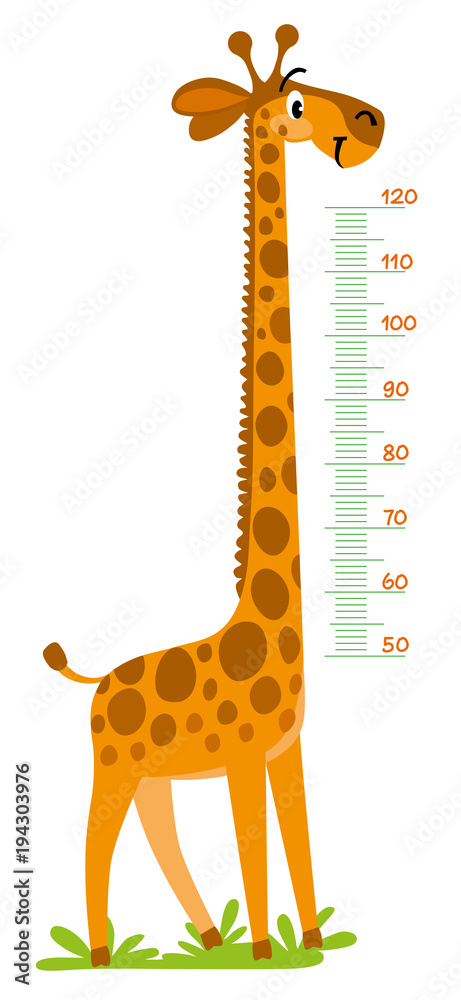 Obraz premium Giraffe meter wall or height chart