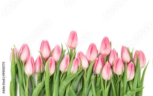 Fresh pink tulips Flowers bouquet isolated white background