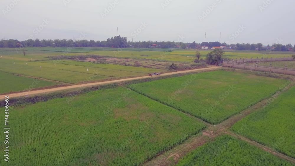Aerial drone shot : fly towards a farmer driving a two-wheel tractor throughout rice fields Aerial drone shot : fly towards a farmer driving a two-wheel tractor throughout rice fields