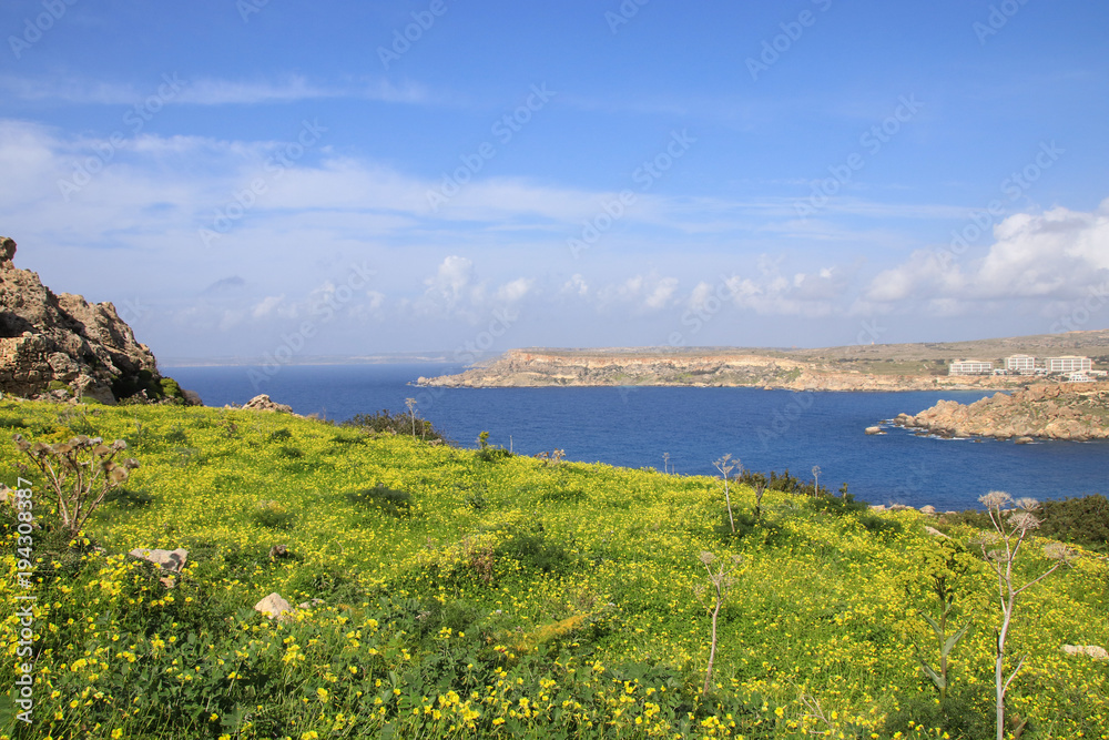Gnejna Bay, Wandern, Malta, Westküste, Frühling