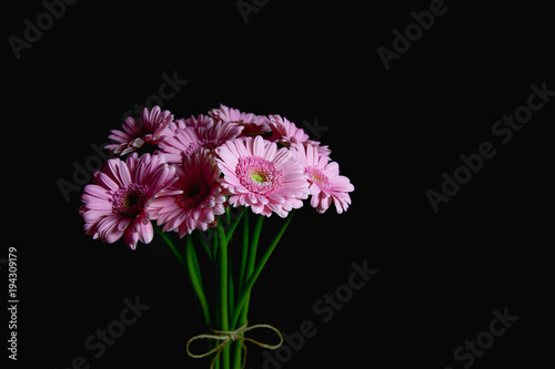 Bunch of  beautiful pink flowers on black background.