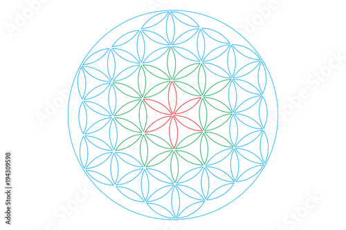 Sacred Geometry Vector Symbol: Flower of Life, also known as The Pattern of Creation. Flower and Seed of Life symbols represent patterns of life as they emerge from the Creator.