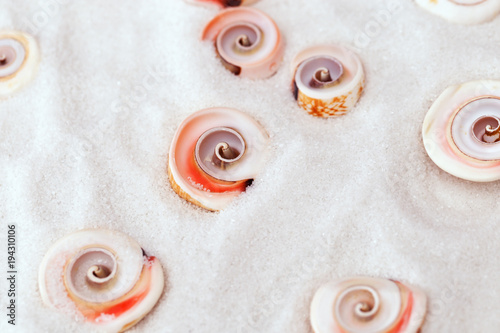 Seashells on white sea salt background. Selective focus. Summer or spa background with copy space for text. Selective focus.