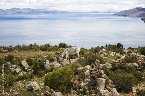 Isla del Sol on lake Titica...