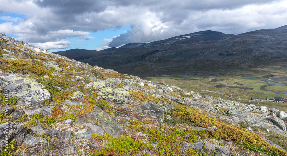 Rocky slope overgrown with moss in the background of mountains, Norway