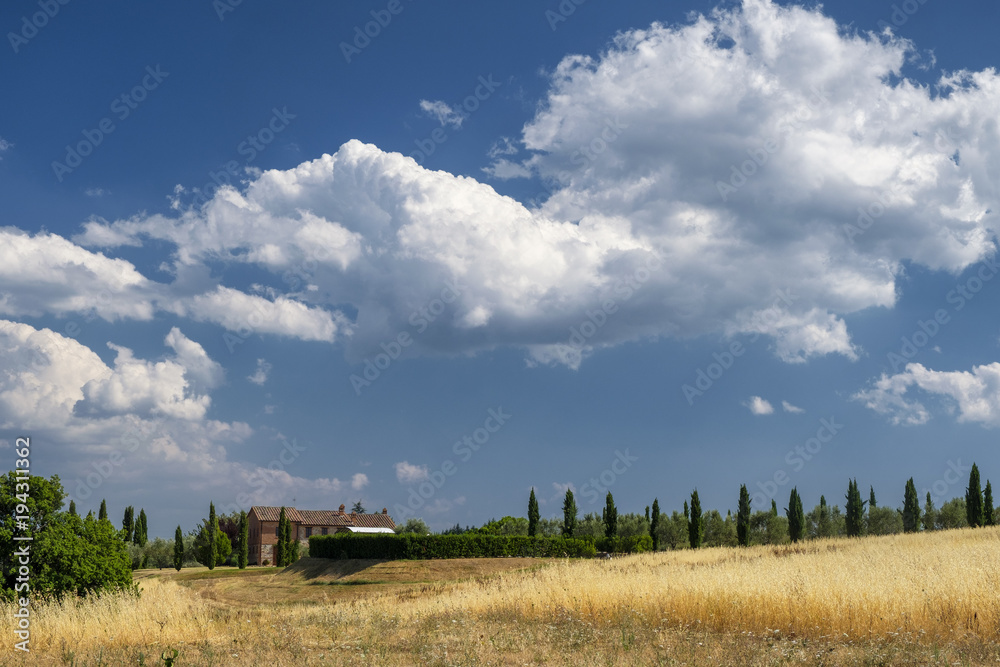 Fototapeta premium Summer landscape near Perugia