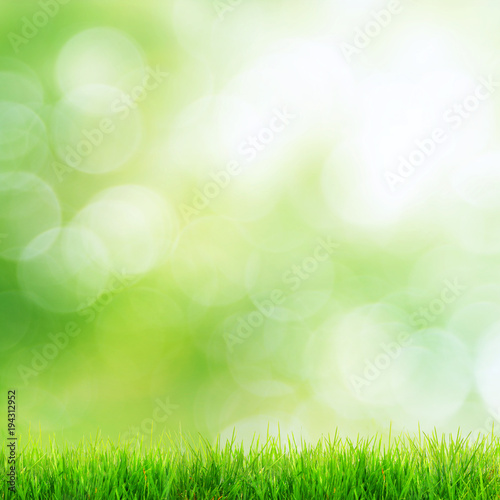 Gras im Frühling