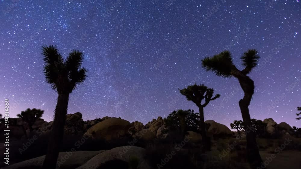 Joshua Trees night 4k timelapse with zoom out effect, Joshua Tree National Park, California