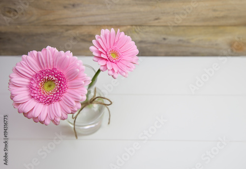 Two beautiful pink flowers in vase on white background, Top view.