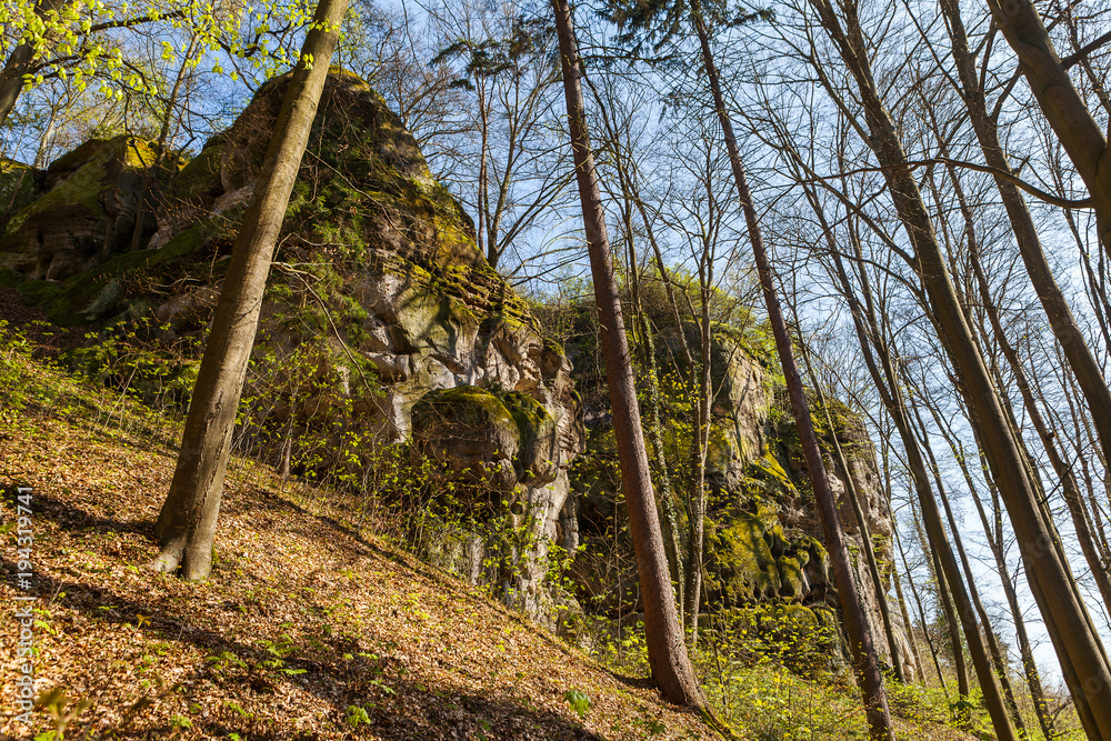 Fototapeta premium Sandstone rocks in the forest. Sunny summer day. Hruba skala or Bohemian Paradise park.