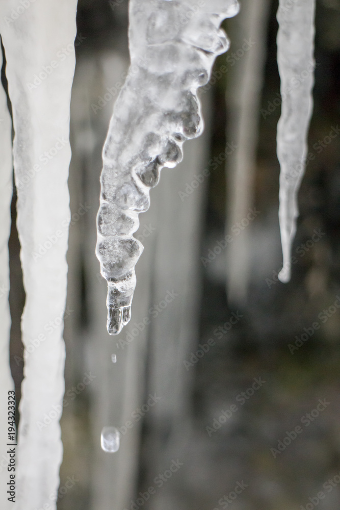 icicles icicles