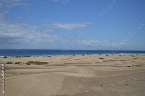 Fototapeta Naklejka Na Ścianę i Meble -  Dunes in Playa del Ingles 01