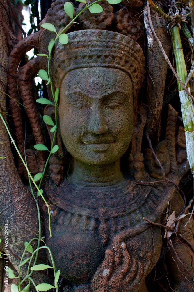 the sculpture of a female Buddhist deity Tara is buried in the tree