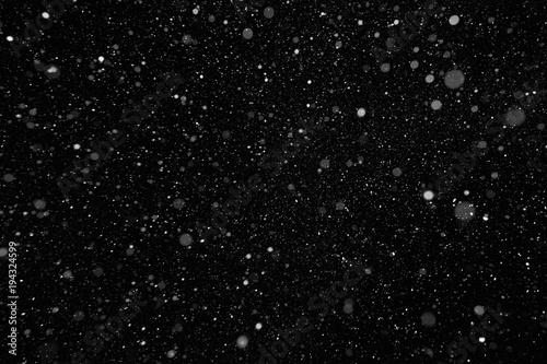 Real falling snowflakes on a black background. Can be used as a texture layer in different types of projects with snow. Photo taken in the night time  using flash light.