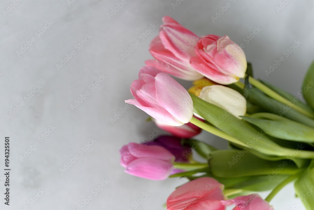 Obraz premium wiosenne kwiaty tulipany