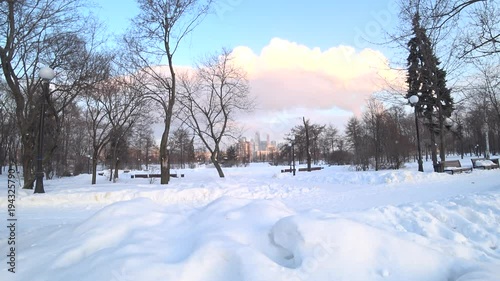 Wallpaper Mural frozen morning Torontodigital.ca