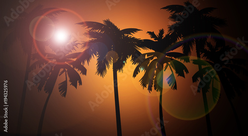 Marine background  palm trees on sunset background