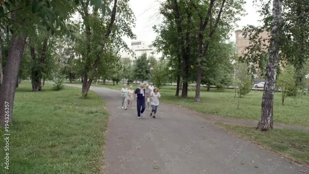 Tilt down shot of six elderly people jogging in park during group workout on warm summer day, front view Tilt down shot of six elderly people jogging in park during group workout on warm summer day, front view