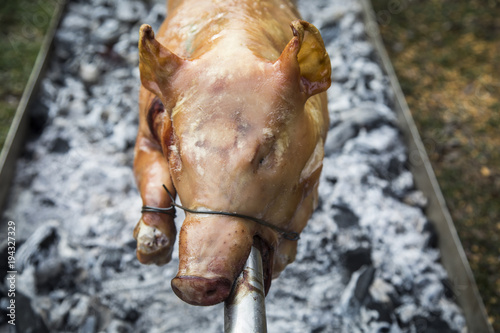 A whole pig being roasted on a fire.