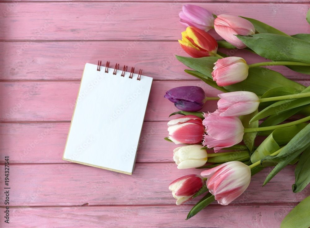 Fototapeta premium spring flowers tulips