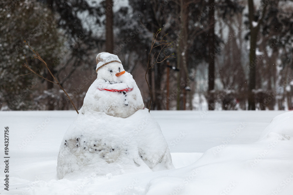 Obraz premium winter snowman outdoor