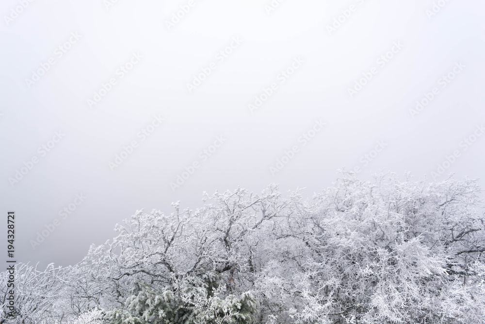 Naklejka premium Winter landscape