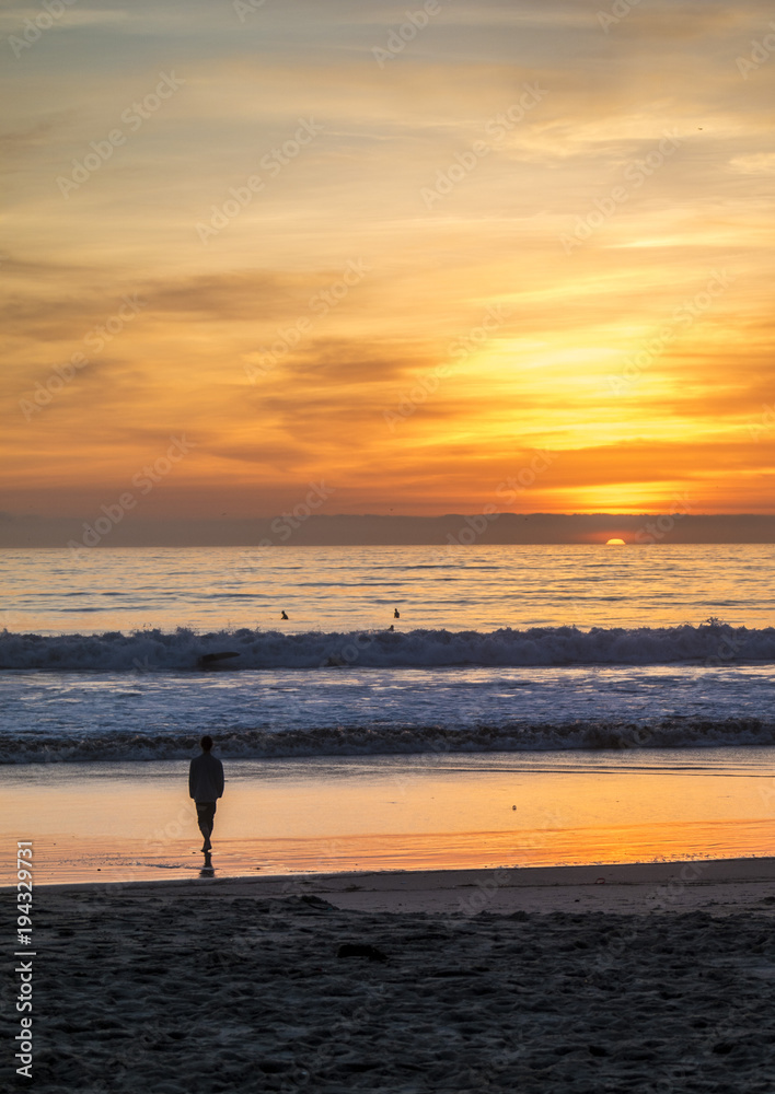 lonely bird on the beach at sunset