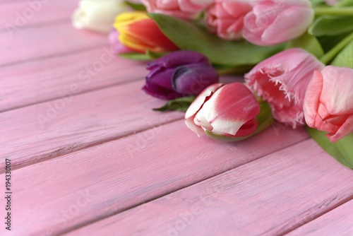 Fototapeta Naklejka Na Ścianę i Meble -  
spring flowers tulips