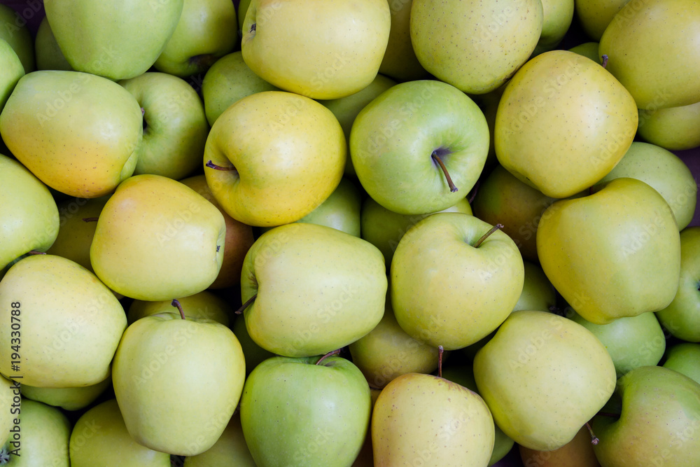 Green and yellow apples. Apples of the variety Golden. Texture. Background Green and yellow apples. Apples of the variety Golden. Texture. Background