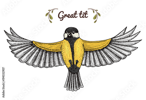Small birds of barn swallow or martlet and parus. Exotic tropical animal icons. Use for wedding, party. engraved hand drawn in old sketch.