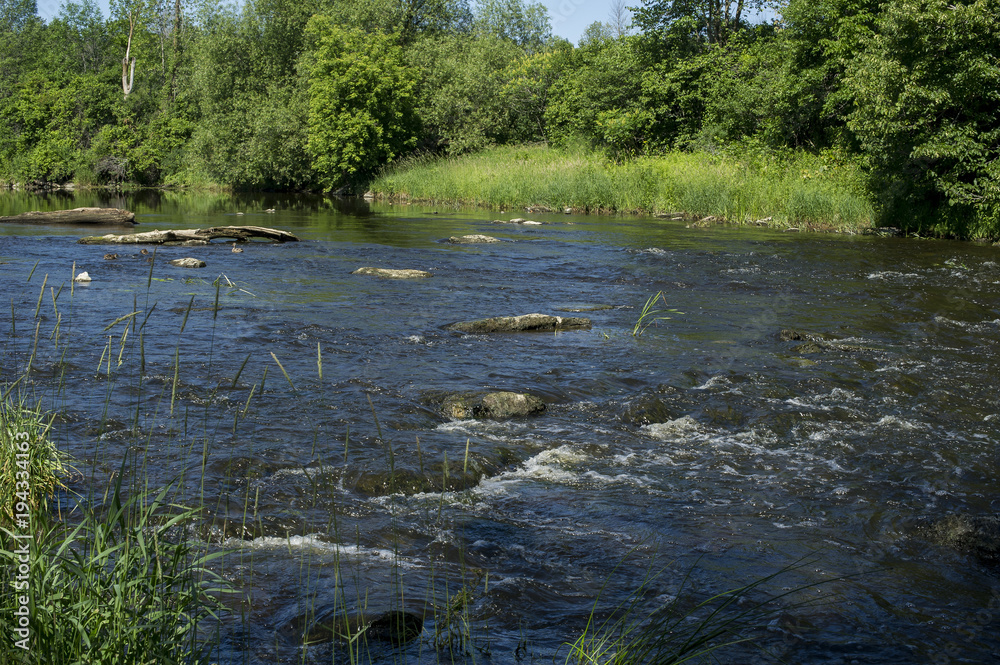 Fototapeta premium Jock River