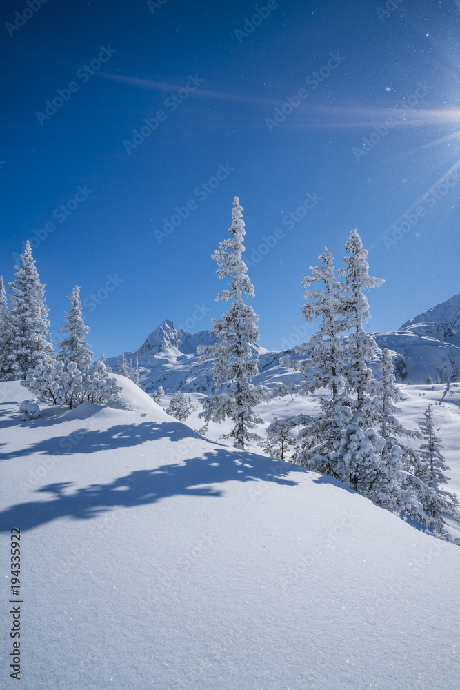 Winterpanorama - Verschneite Winterlandschaft