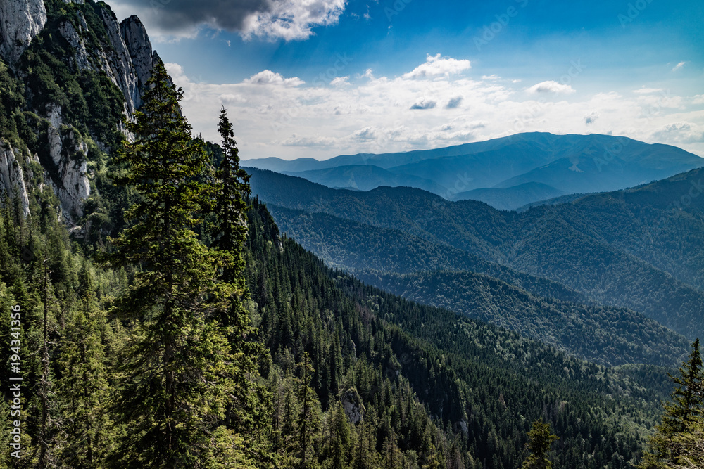 Obraz premium Valley