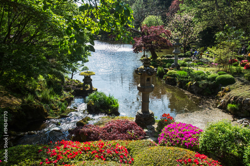 Beauty nature in Japanese park in France in Maulivrier . Pays de la loire . © Marat Lala
