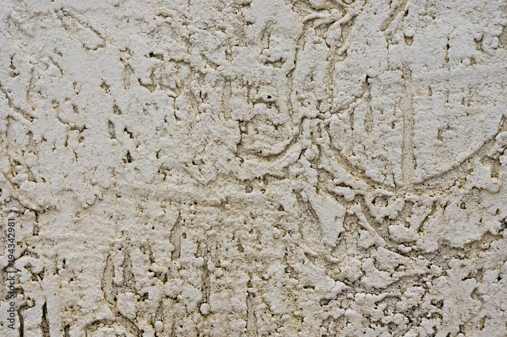Texture of the decorative stucco wall as a background. Bark beetle style