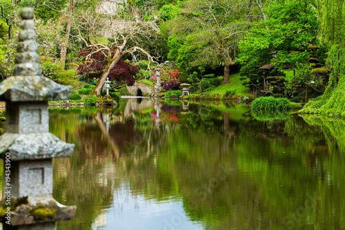 Fototapeta Naklejka Na Ścianę i Meble -  Pond  and  reflections. Beauty nature in Japanese park in France in Maulivrier . Pays de la loire .