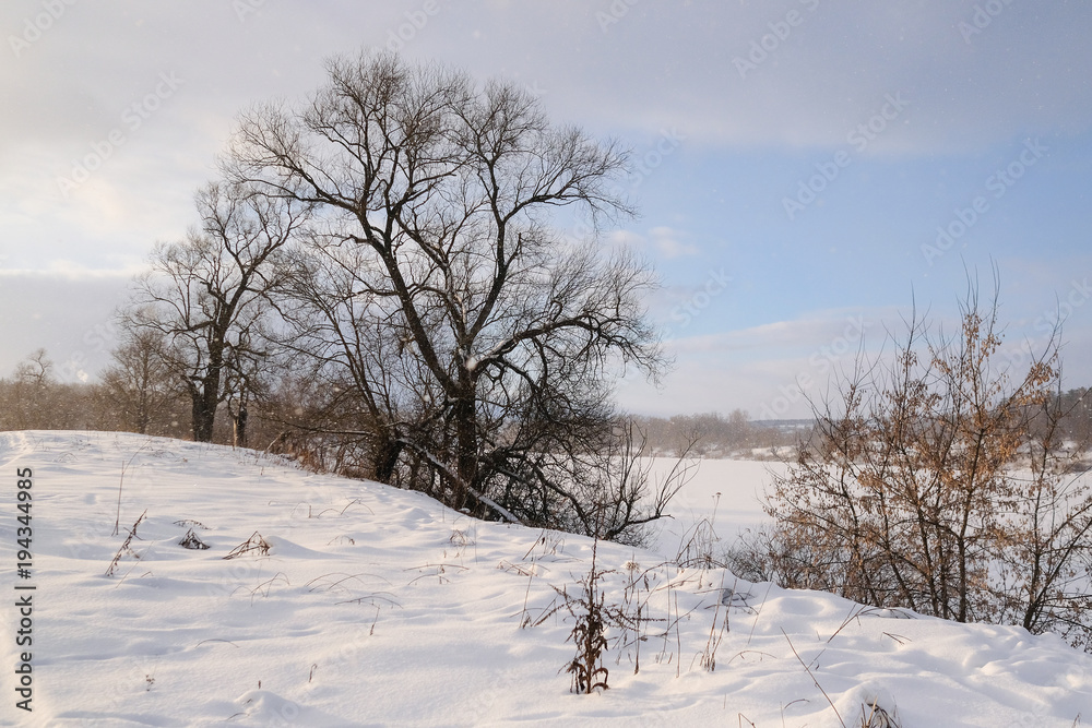 Landscape with the image of winter meadow Landscape with the image of winter meadow