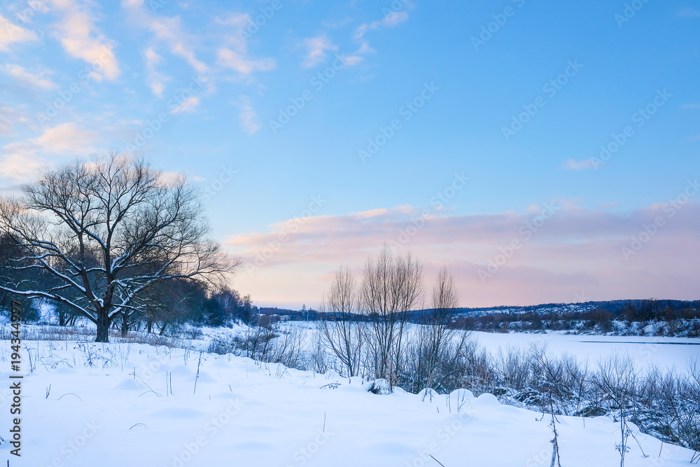 Landscape with the image of winter wood Landscape with the image of winter wood