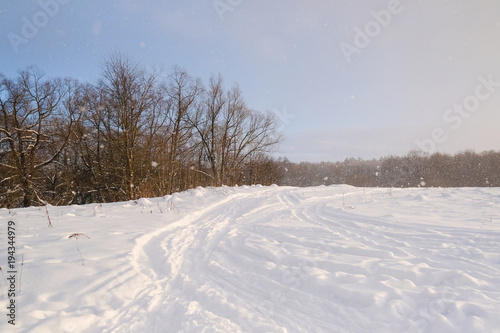 Landscape with the image of winter wood