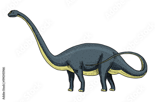 Dinosaur Brachiosaurus or sauropod, Plateosaurus, Diplodocus, Apatosaurus, skeletons, fossils, winged lizard. American Prehistoric reptiles, Jurassic Animal engraved Hand drawn vector.