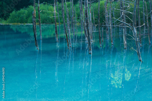 青い池-Blue Pond-