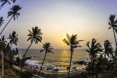 Sunset visible through palm leaves