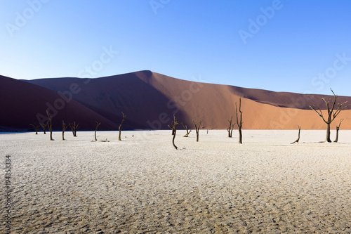 Dead Vlei, Sosussvlei, Namibia photo