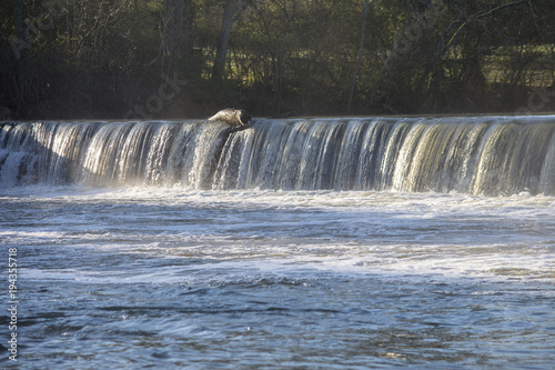 River rapids at Stone River