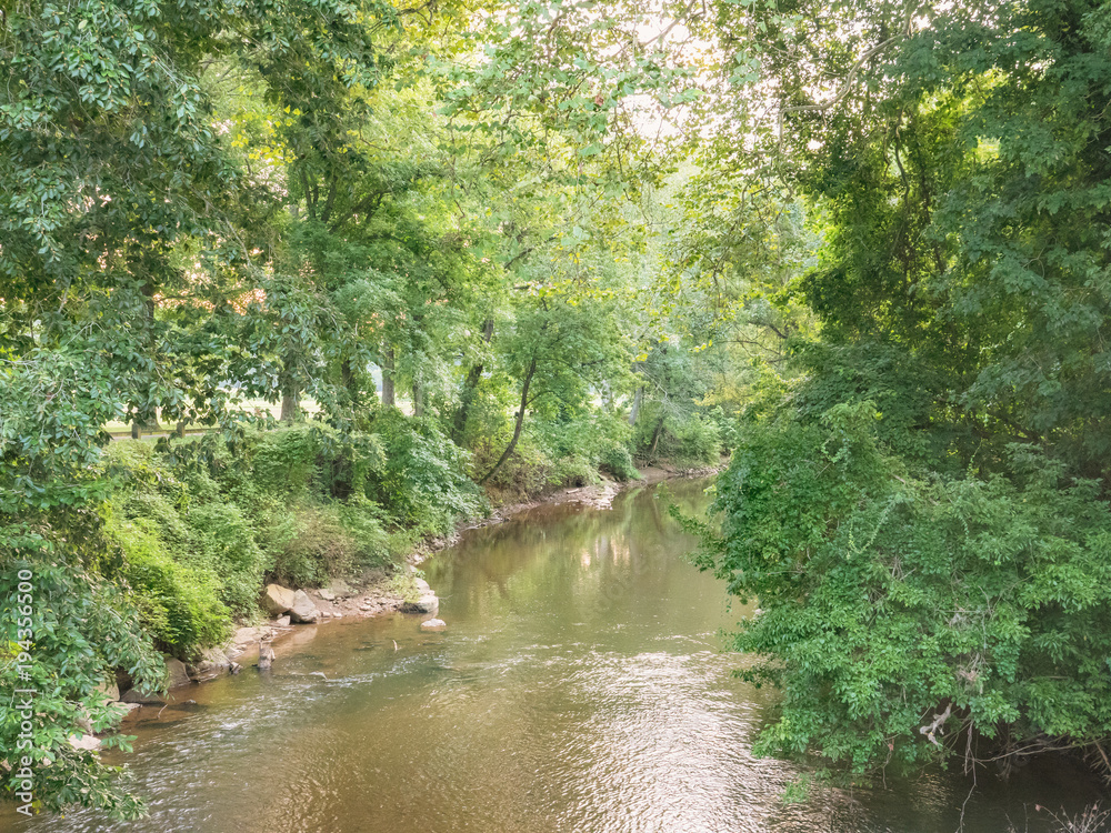 Naklejka premium Green Tree River