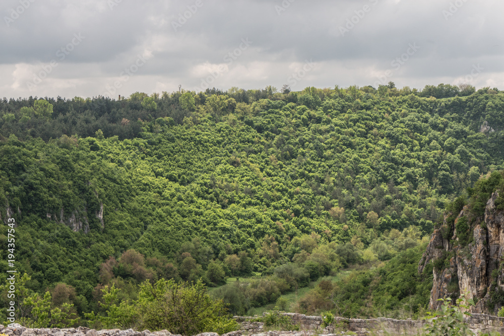 Nature Nature