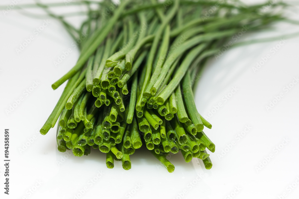 schnittlauch auf weißem untergrund chives on a white background schnittlauch auf weißem untergrund chives on a white background