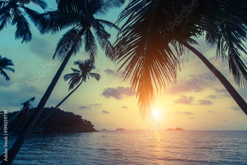 Tropical sea beach during sunset, with silhouettes of palm leaves.